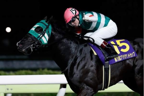 ストライクイーグル 20.04.07 ブリリアントカップ