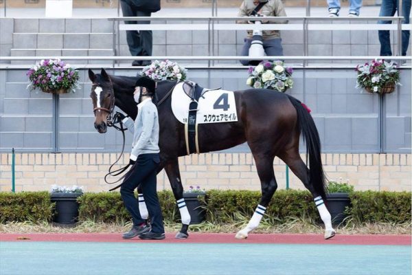 [スクウェアセイル] 2歳12月 3戦目 中京ダート1800m牝馬限定戦に出走